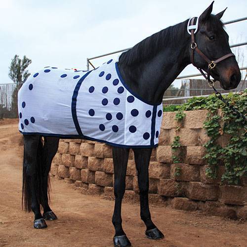 Professional's Choice Professional's Choice Magnetic Blanket