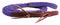 Professional's Choice Professional's Choice Quiet Control™ Single Rein with Hand Placement Markers
