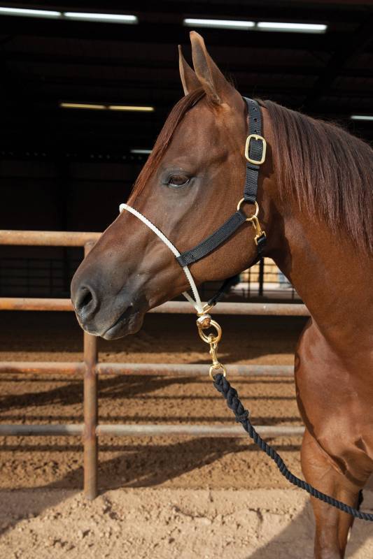 Professional's Choice Professional's Choice Rope Nose Nylon Halter