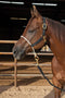 Professional's Choice Professional's Choice Rope Nose Nylon Halter
