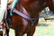 Professional's Choice Professional's Choice SMx Neoprene Breast Collar