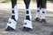 Professional's Choice Professional's Choice Spartan Fleece Bell Boots