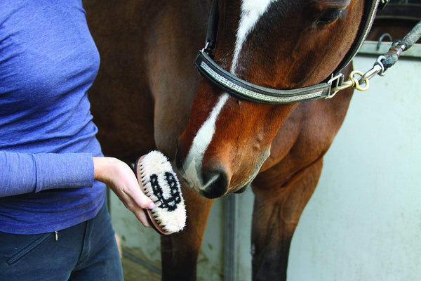 Professional's Choice Professional's Choice Tail Tamer Boar Bristle Brush