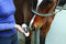 Professional's Choice Professional's Choice Tail Tamer Boar Bristle Brush