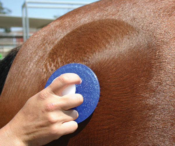 Professional's Choice Professional's Choice Tail Tamer Comfort Circle Curry