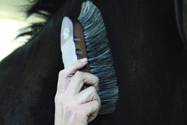 Professional's Choice Professional's Choice Tail Tamer Large Horsehair Brush
