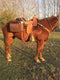 Reinsman Reinsman Deluxe Insulated Cooler Saddle Bag