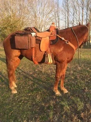 Reinsman Reinsman Deluxe Insulated Cooler Saddle Bag