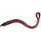 Reinsman Reinsman Saddle Strings (10 Pack)