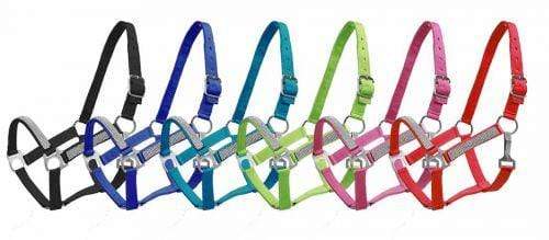 Showman 2Ply Medium/Large Pony Size Nylon Halter With Crystal Noseband And Cheeks
