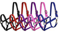 Showman Cobb Size Nylon Halter