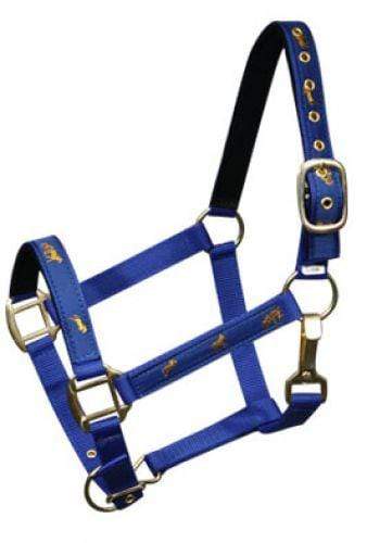 Showman Cobb Size Nylon Halter With "Running Horse" Overlay