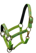 Showman Cobb Size Nylon Halter With "Running Horse" Overlay