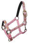 Showman Cobb Size Nylon Halter With "Running Horse" Overlay