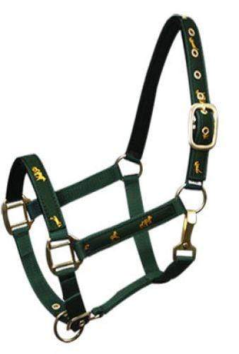 Showman Cobb Size Nylon Halter With "Running Horse" Overlay