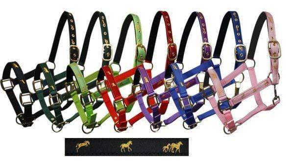Showman Cobb Size Nylon Halter With "Running Horse" Overlay