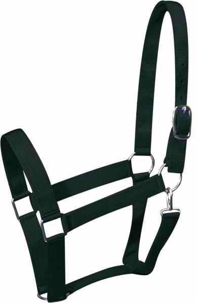 Showman Draft Size Nylon Halter