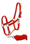 Showman Full Size Adjustable Nylon Halter With 7' Lead