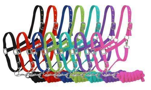 Showman Full Size Adjustable Nylon Halter With 7' Lead