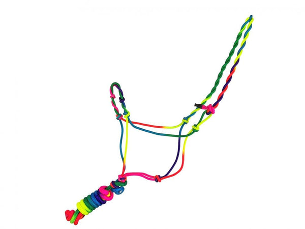 Showman Horse Bright Color Cowboy Knot Halter with Matching Removeable Lead
