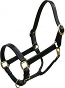 Showman Horse Size Leather Halter