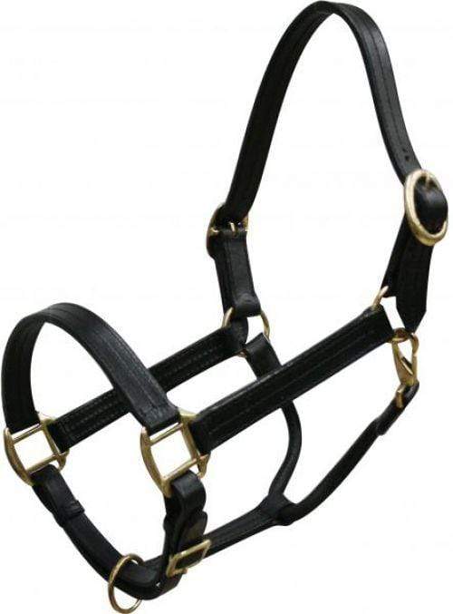 Showman Horse Size Leather Halter
