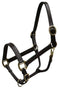 Showman Horse Size Leather Halter