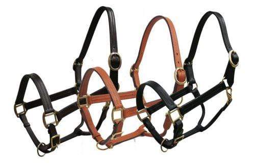 Showman Horse Size Leather Halter