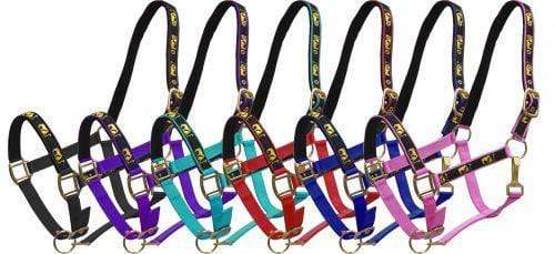 Showman Horse Size Nylon Halter With "Praying Cowboy" Overlay