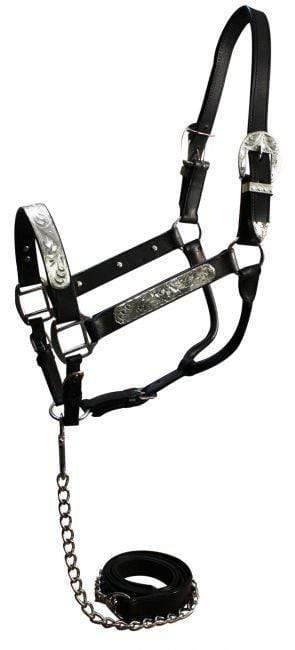 Showman Horse Size Show Halter