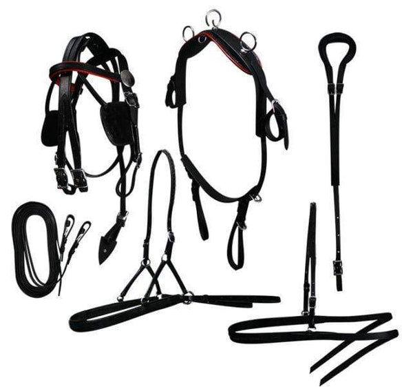 Showman Mini Horse / Small Pony Leather Driving Harness