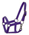 Showman Mini Size Nylon Halter