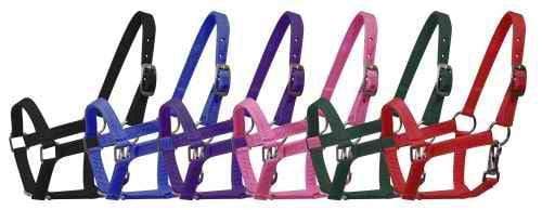 Showman Mini Size Nylon Halter