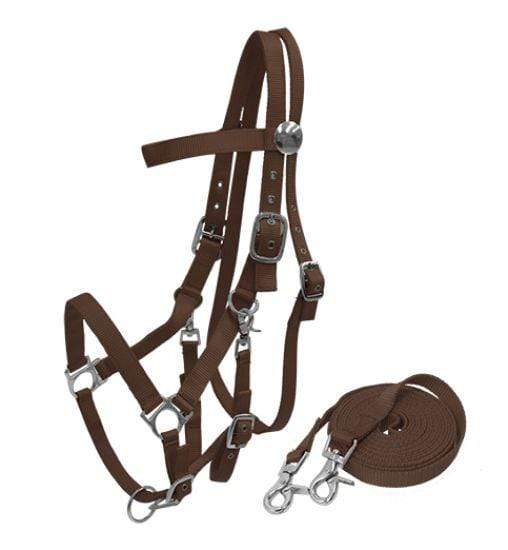 Showman Nylon Combination Halter Bridle With Reins