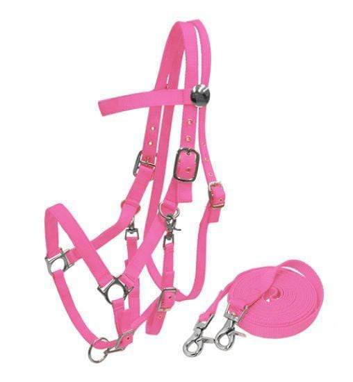 Showman Nylon Combination Halter Bridle With Reins