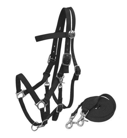 Showman Nylon Combination Halter Bridle With Reins