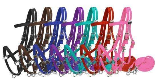 Showman Nylon Combination Halter Bridle With Reins
