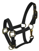Showman Pony Size Nylon Halter