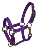 Showman Pony Size Nylon Halter