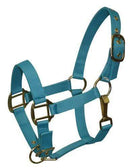Showman Pony Size Nylon Halter