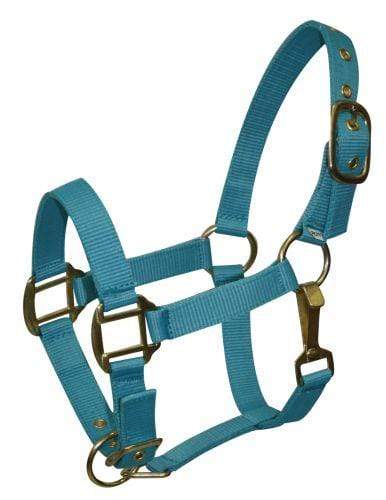 Showman Pony Size Nylon Halter