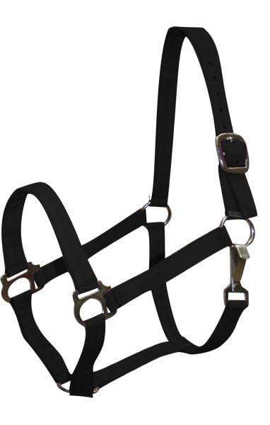 Showman Pony Size Nylon Halter
