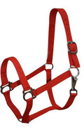 Showman Pony Size Nylon Halter