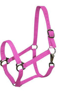 Showman Pony Size Nylon Halter