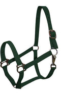 Showman Pony Size Nylon Halter
