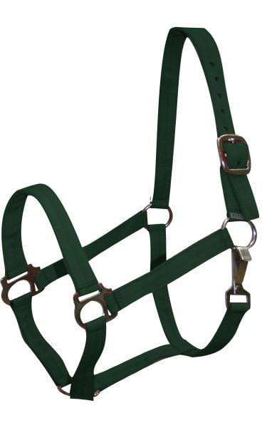 Showman Pony Size Nylon Halter