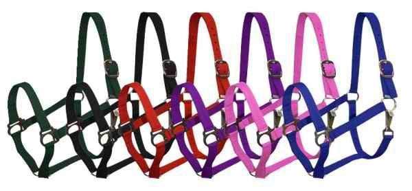 Showman Pony Size Nylon Halter