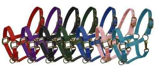 Showman Pony Size Nylon Halter