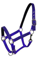 Showman Pony Size Nylon Halter With Glitter Overlay