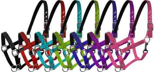 Showman Pony Size Nylon Halter With Glitter Overlay